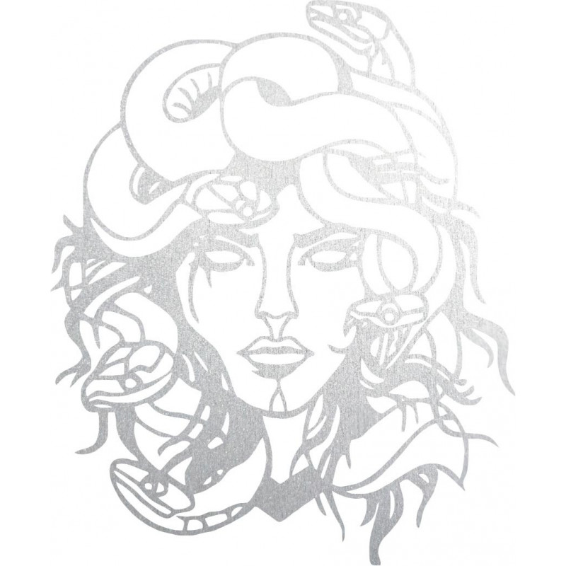 Obraz na ścianie msdúza kobieta - MEDUSA GORGONA