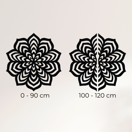 Podgląd służący do wyświetlania informacji o rozmiarze i cechach wizualnych produktu.