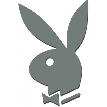 Lustra dekoracyjne. Naklejki lustrzane na ścianę, jako obraz lub dekoracja, naklejka akrylowa 3D